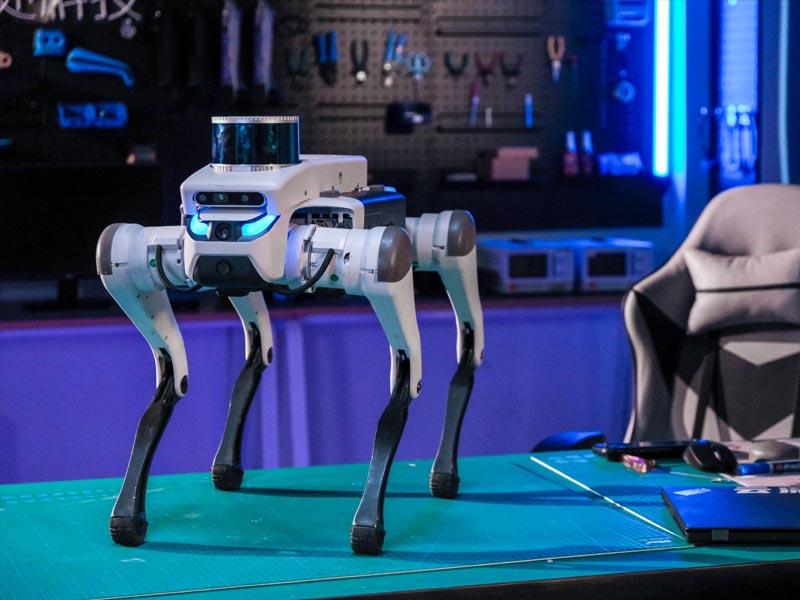 robot
