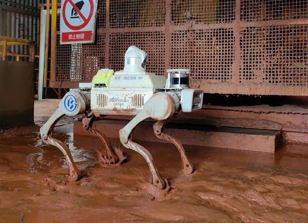 robot